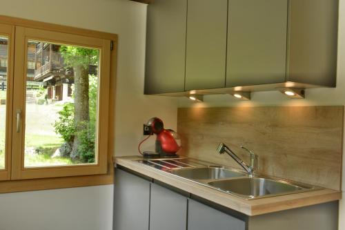 Kitchen, Chalet Rustifol in Champex