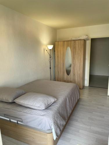 Idéal frontalier 15 min centre Geneve (Ideal frontalier 15 min centre Geneve) in Gaillard