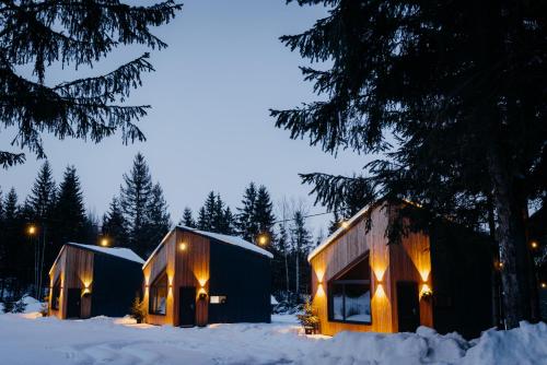 Monside Resort - EARTH CABIN in Joseni