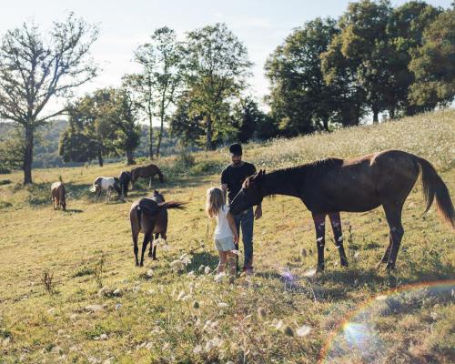 Yourte au coeur des chevaux in Savignac-Ledrier
