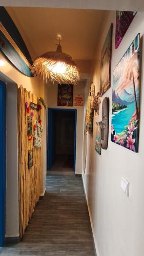 Premium Flat Agadir - Immersive rental --- Maison Bleue --- Fast wifi in Dakhla