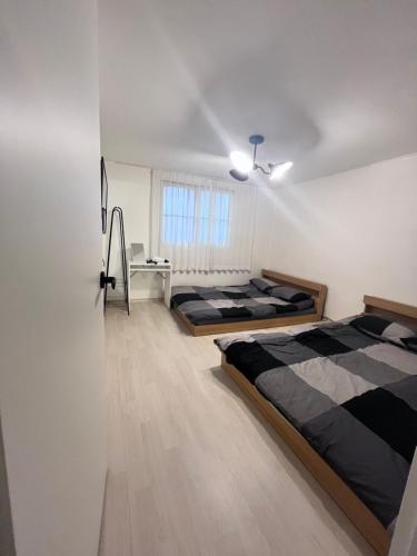 2, near hongdae, 1st floor,3beds, 2rooms