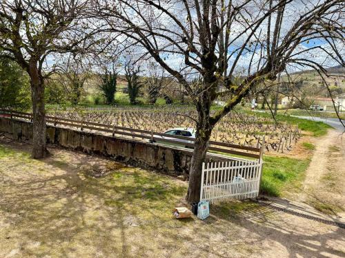 La Maison des Vignes - Beaujolais in Saint-Lager