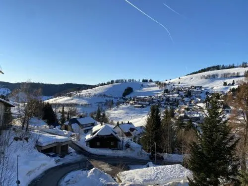 Urlaub im Wanderparadies - Fewo Herzgrün mit traumhafter Aussicht und Sauna im Haus, E-Ladestation in Todtnauberg, Deutschland