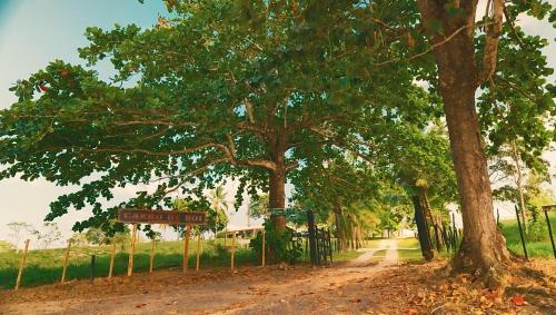 Fazenda carro de boi in Pojuca