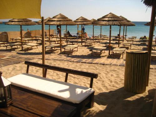 沙灘, Agriturismo Casa Colonica Liliane in 波爾托切薩雷奧市中心