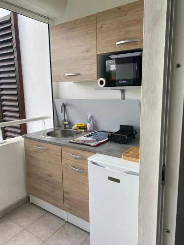 Studio moderne au bord de la mer a Les Abymes - 24 m² in Baimbridge