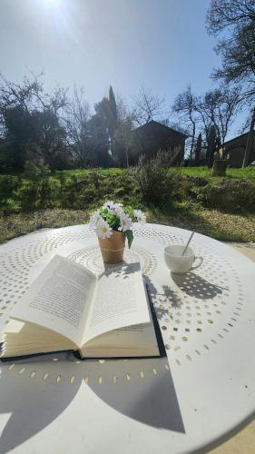 Facilities, Le Repos des Oliviers in Chasseneuil-sur-Bonnieure