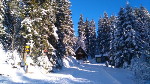 Pension Ploc in Harrachov