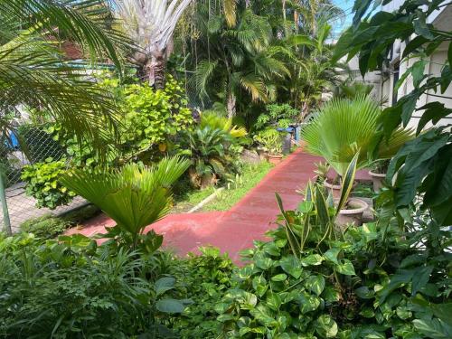 Hotel Oasis Beach Club in พันตาเรนนัส