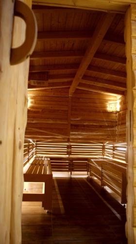 Spa, 阿爾皮娜阿泊文森特山林小屋 (Alpina Lodge Hotel Oberwiesenthal) in 上維森塔爾