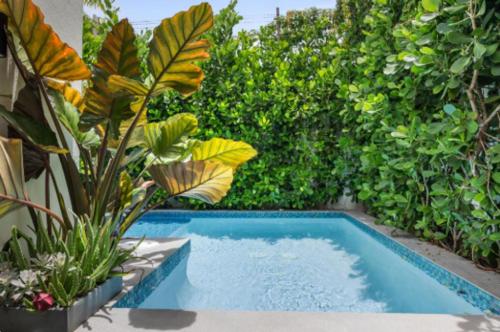 حديقة, The Weekender Hotel in Loiza