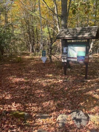 New Modern 3 br 2 bth Walking Trails shopping - image 12