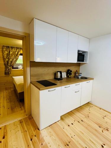 Aura Durmitor apartments in Zabljak