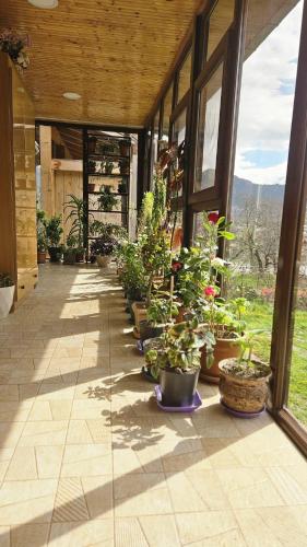 Guest House Nanu in Mestia
