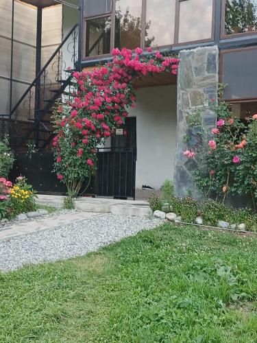 Guest House Nanu in Mestia