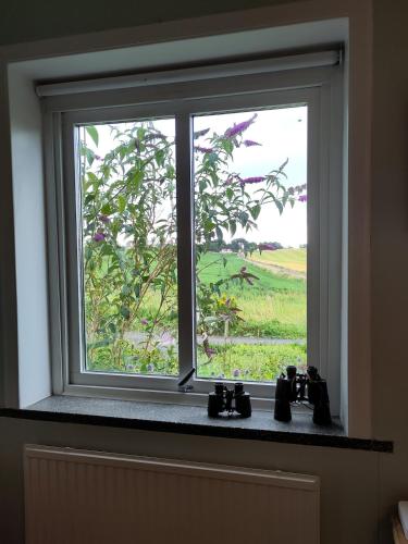 Stay in the middle of nature on Osterlen in Stora Herrestad