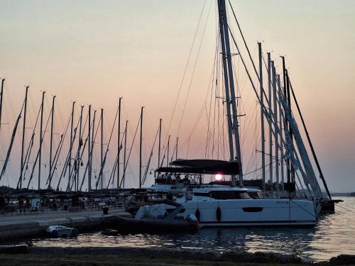 Skats, Kuća Ljubica (Kuca Ljubica) in Zlarin