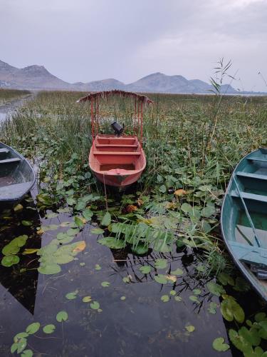 skadar laik sara 3dm in Dodoši