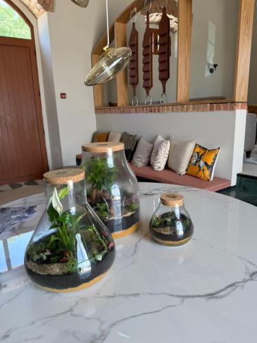 Marchanta Riverside Hotel in ซาบูโก