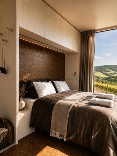 Viesnīcas āriene, Glamping Domik Tokaj in Veľká Tŕňa