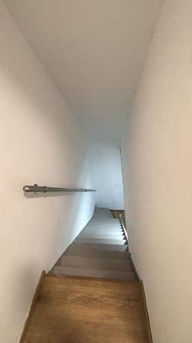 Superbe Duplex T2 62m2 - Rénové à Neuf ! (Superbe Duplex T2 62m2 - Renove a Neuf !) in Croix