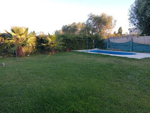 Palmeras
