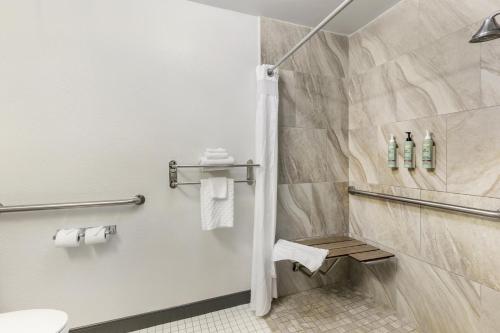 Best Western Eagles Inn - image 27