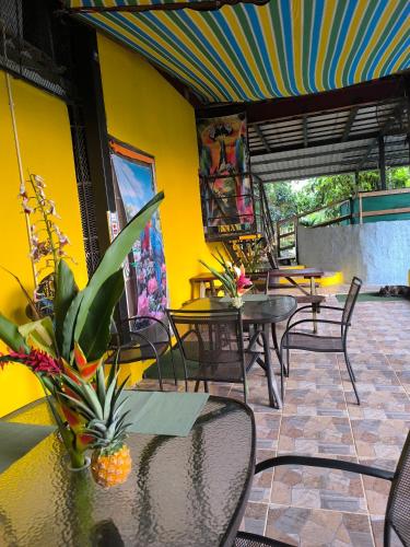 Rainforest Lodge del Rio in Portobelo
