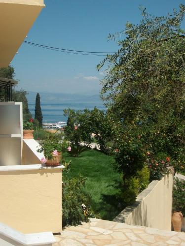Roza's Home and Studios - Photo 2