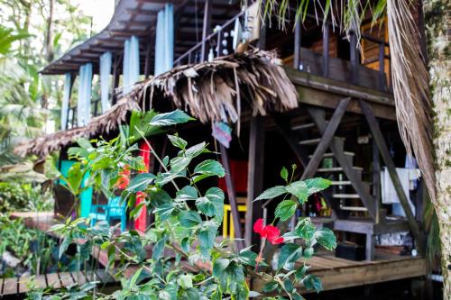 Attrezzature e servizi, Carmen's place in Bastimentos