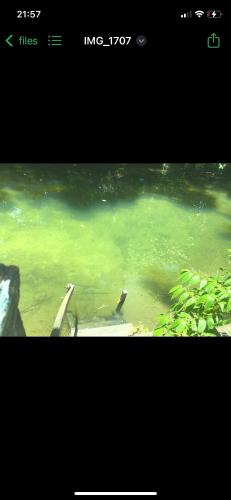 Rancho ABA DO BETIONE in Bodoquena
