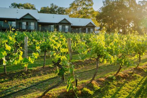 Hermitage Lodge - Hunter Valley