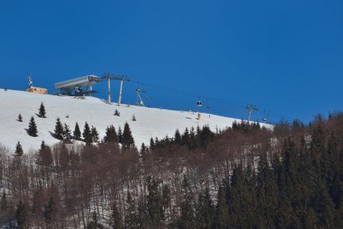運動及活動, Central Apartment in 多諾瓦里鎮中心