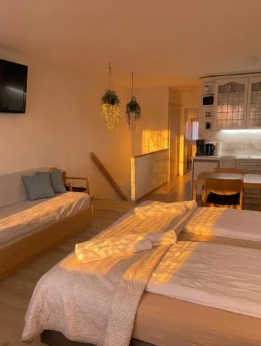Ferienapartment TESLA im Wellnesshotel - Bayerischer Wald in Sankt Englmar, Deutschland
