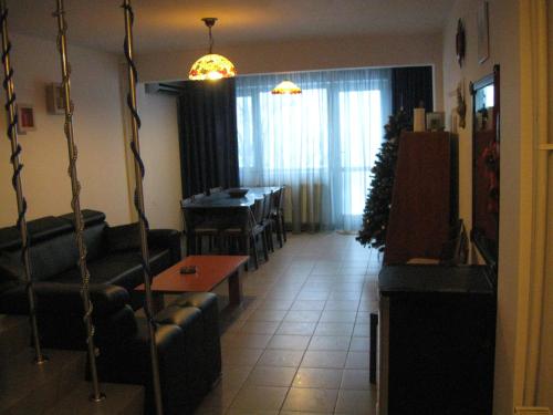 Vila Lucian - image 5