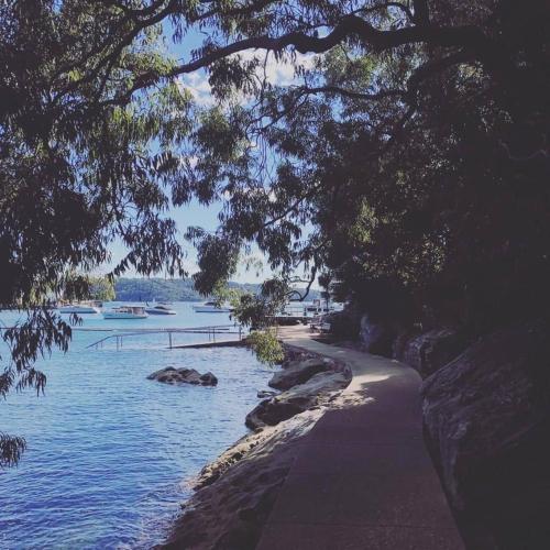 Picturesque apartment by the beach at Parsley Bay in Watsons Bay