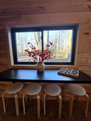 Maple: Modern Family Tiny Home Pod with Forest Views near Quakertown, Pennsylvania in Quakertown (Pennsylvania)