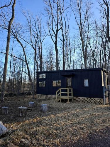 Maple: Modern Family Tiny Home Pod with Forest Views near Quakertown, Pennsylvania in Quakertown (Pennsylvania)