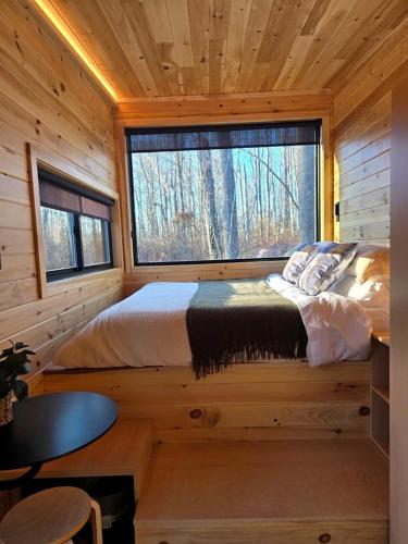 Sycamore: Serene Studio Pod Tiny Home in 300-Acre Woodland near Quakertown Pennsylvania in Quakertown (Pennsylvania)