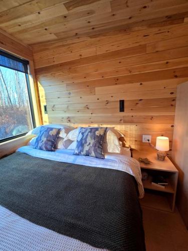 Sycamore: Serene Studio Pod Tiny Home in 300-Acre Woodland near Quakertown Pennsylvania in Quakertown (Pennsylvania)