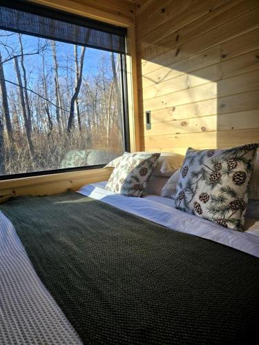 Pine: Serene Tiny House Nestled in the Woods in Quakertown for a Romantic Glamping Getaway in Pennsy in Quakertown (Pennsylvania)