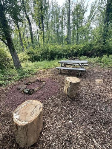 Eastern Redbud: Escape to a Cozy Woodland Tiny Home and a Peaceful Forest Retreat Perfect for Two in in Quakertown (Pennsylvania)