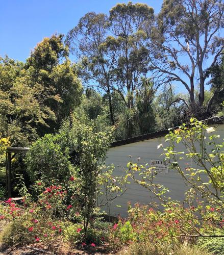 山顶住宿加早餐旅馆