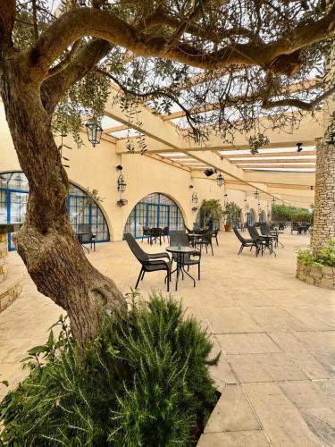 A szálláshely kívülről, Navarria Hotel in Limassol