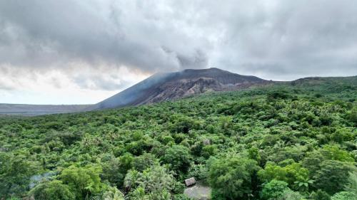 Yasur Backpackers Bungalow & Tree House in Isaka
