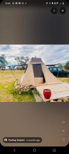Pitched at Liberty' in Taradale