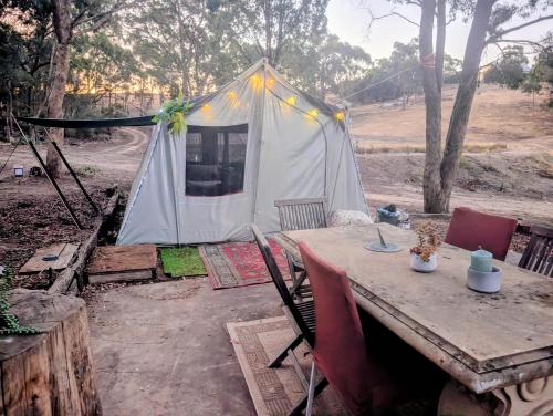 Pitched at Liberty' in Taradale