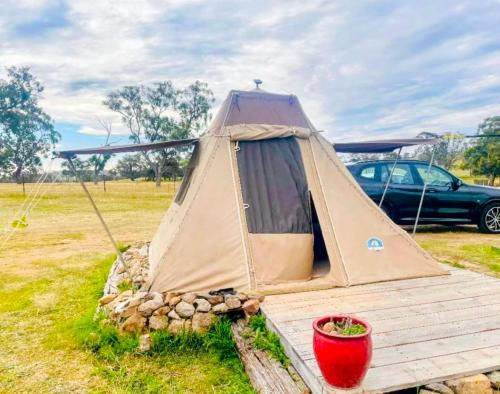 Pitched at Liberty' in Taradale