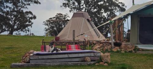 Pitched at Liberty' in Taradale